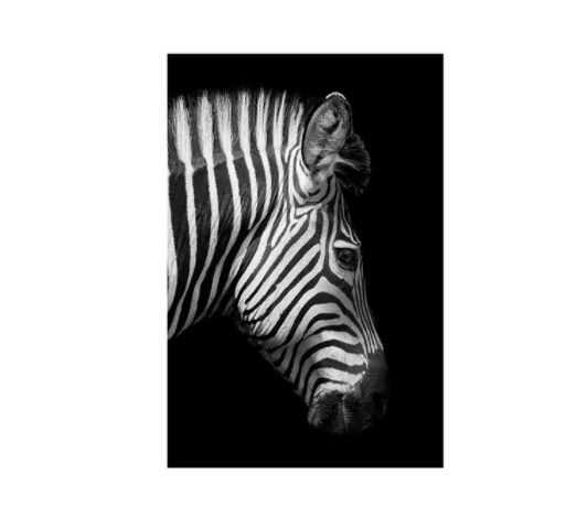 Black And White Animal Zebra Wall Art Canvas Painting Wall Poster Living Room Decor Black And White Animal Zebra Wall Art Canvas Painting Wall Poster Living Room Decor